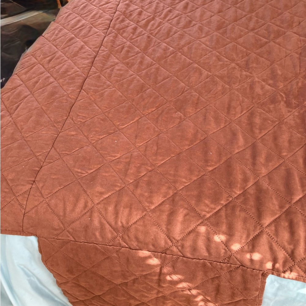Pet couch cover